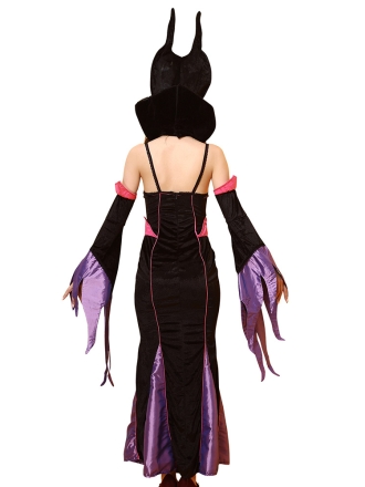 Deluxe Fairytale Witch Costume