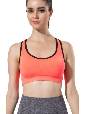 Gym Sports Bra