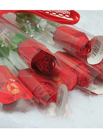 Mesh and Lace G-String