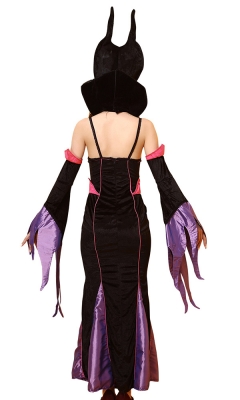 Deluxe Fairytale Witch Costume