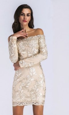 Luxurious Laced Dress-S
