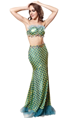 Mystical Mermaid costume